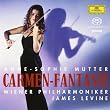 Carmen Fantasie (Hybr)