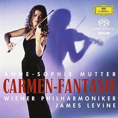 Carmen Fantasie (Hybr)