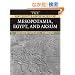 The Ancient Languages of Mesopotamia, Egypt and Aksum