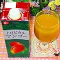 �Ɩ��p �}���S�[�W���[�X �ʏ`30���}���S�[�W���[�X