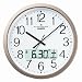 CASIO (�J�V�I) �|�����v WAVE CEPTOR �E�F�[�u�Z�v�^�[ �d�g���v �v���O�������� IC-410SJ-9JF