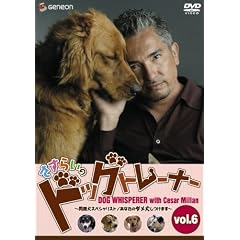 さすらいのドッグトレーナー Vol.6~問題犬スペシャリスト/あなたのダメ犬しつけます~