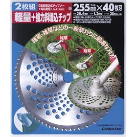 GS�����`�b�v�\�[2���g 255mm�~40P 210429