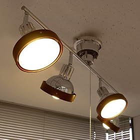 LT-5246 �E�b�h �X�|�b�g���C�g DOME [4�� �u���� 240W�`]