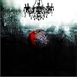 the WORLD/�A���~�i(DVD�t�A���~�i)