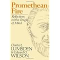 Promethean Fire: Reflections on the Origin of Mind