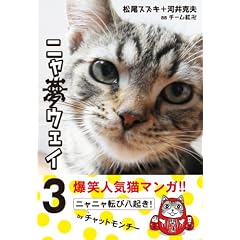 �j�����E�F�C 3
