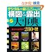 �f�W�^�����\�}���I�o�厖�T (�J�������b�N)