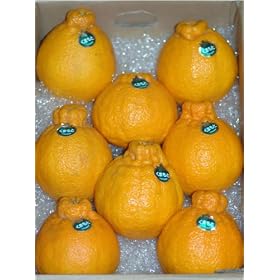 �y���������z�{��F�{�Y �f�R�|����2kg4��~8�ʓ� ���ƒ�p(�K�i�O�i)