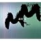 NHK�u����̉��y�v�A�[�J�C�u�V���[�Y