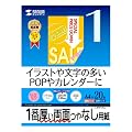 SANWA SUPPLY JP-ERV1NA4 �C���N�W�F�b�g���ʈ�����E������