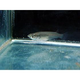 �N�����_�J10�C�v���X���܂�5�C�@�v15�C�i����̏ꍇ�̕ۏؗL�j�y���́@�������z