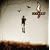Flyleaf