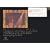 FictionJunction YUUKA~Yuki Kajiura LIVE vol.#4 PART 1~ [DVD]