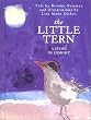The Little Tern: A Story of Insight