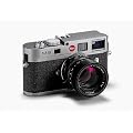 M9�X�`�[���O���[�y�C���g�{�f�B