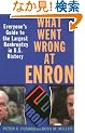 What Went Wrong at Enron: Everyone's Guide to the Largest Bankruptcy in U.S. History