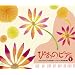 �҂��̃s�A Vol.1 �o���b�N�ƃs�A�m�̏o�~�o�b�n�Ƃ��̎����(DVD�t)