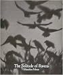 The Solitude of Ravens