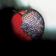 the WORLD/�A���~�i(DVD�tthe WORLD)