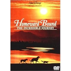 ��Ղ̗� [DVD]