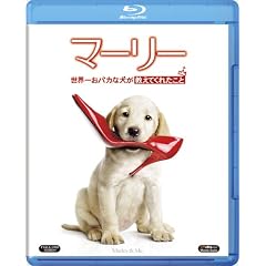 �}�[���[ ���E�ꂨ�o�J�Ȍ��������Ă��ꂽ���� [Blu-ray]