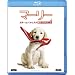 �}�[���[ ���E�ꂨ�o�J�Ȍ��������Ă��ꂽ���� [Blu-ray]