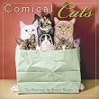 Comical Cats 2009 Calendar