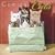 Comical Cats 2009 Calendar