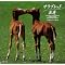 �n*horse*cheval