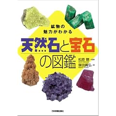 <鉱物の魅力がわかる> 天然石と宝石の図鑑 単行本(ソフトカバー)塚田 真弘 (著)