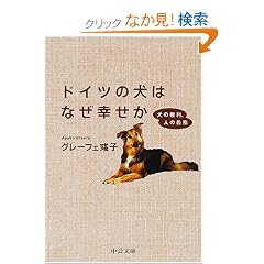 �h�C�c�̌��͂Ȃ��K�����\���̌����A�l�̋`�� (��������)