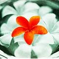 �v�������A~�ԉS~