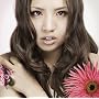 �`����������/I wanna see you(��������) (DVD�t)
