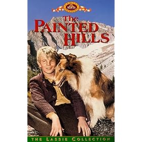 Painted Hills (Clam) [VHS] [Import]