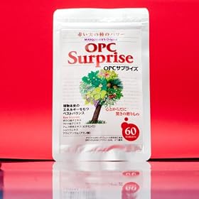 �}�X�P���G OPC�T�v���C�Y 60��