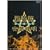 �A�z�t ���{���� ���s�d��� [DVD]
