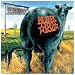 Dude Ranch