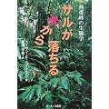 �T�����؂��痎����\�M�їт̐��Ԋw