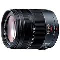 Panasonic LUMIX G VARIO HD 14-140mm F4.0-5.8 ASPH./MEGA O.I.S H-VS014140