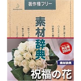�f�ގ��T Vol.110 �j���̉ԕ�
