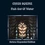 Fish out of Water