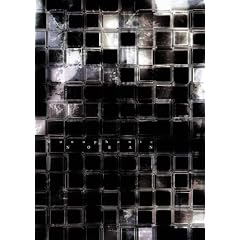 INORAN�wMonophonic�x