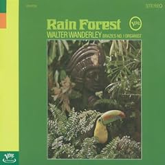 Rain Forest