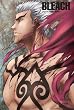 BLEACH �o�E���g �����E�E���P�� 4 (���S���Y�����) [DVD]