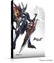Soul Caliber V the Official Guide (Collectors Edition)