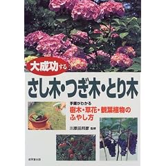 �听�����邳���؁E���؁E�Ƃ�؁\�菇���킩����؁E���ԁE�ϗt�A���̂ӂ₵��