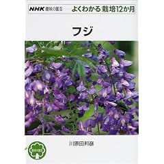 �t�W (NHK��̉��|�悭�킩��͔|12����)