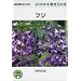 �t�W (NHK��̉��|�悭�킩��͔|12����)