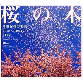 �O�n��꟎ʐ^�W ���̖� The Cherry Tree